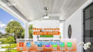 48 inch ABS plafondventilator afstandsbediening LED-licht