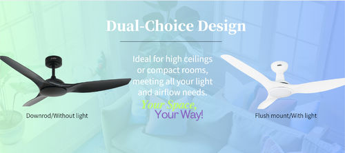 Laatste bedrijfsnieuws over Eén fan, vele mogelijkheden: Aanpasbare opties van 1stShine