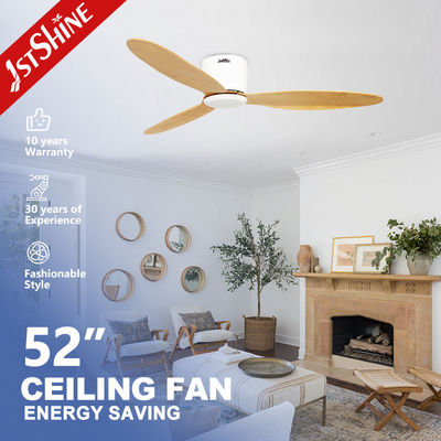 Goede prijs Afstandsbediening 52